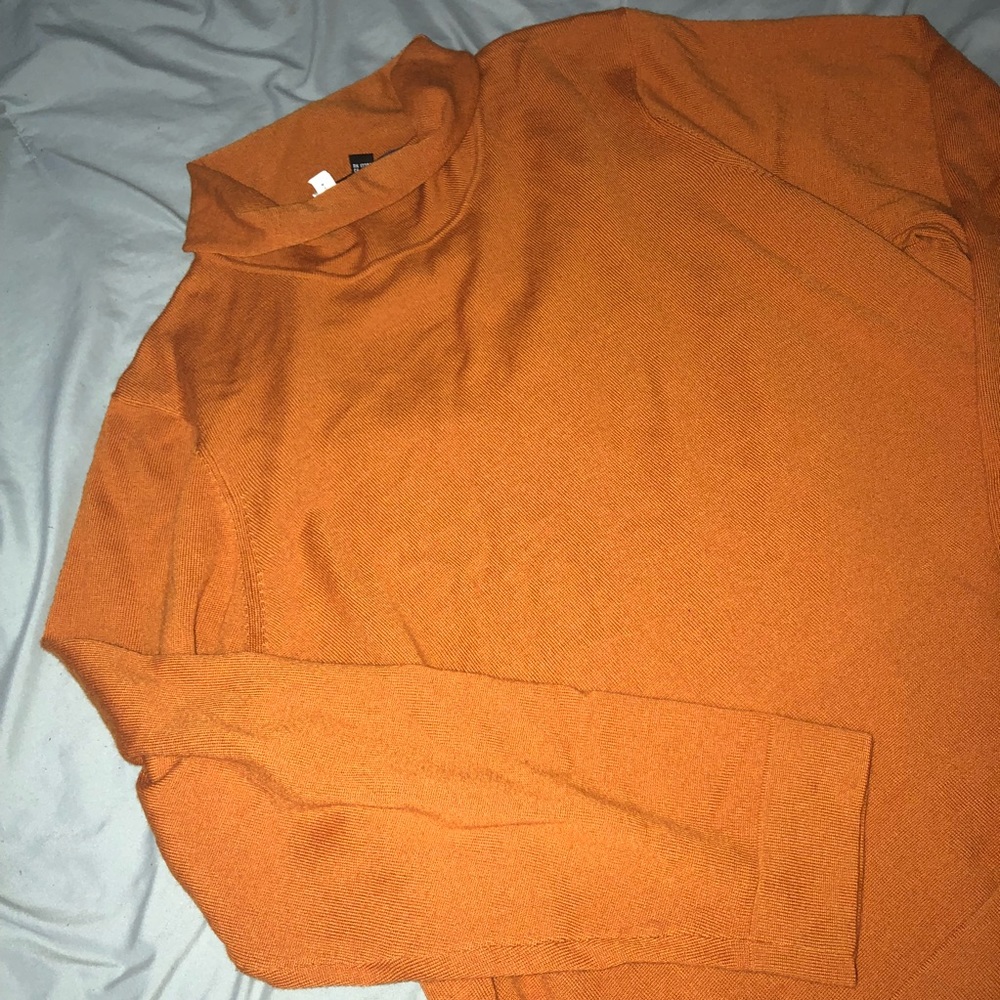 Burnt Orange TurtleNeck